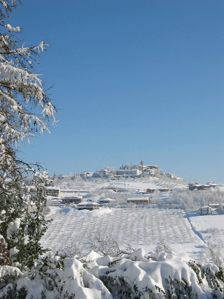 Benevello sotto la neve