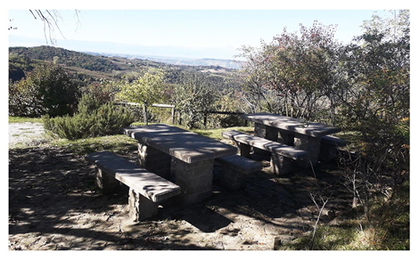 VISTA DAL PUNTO PANORAMICO "ERBAFRESCA"