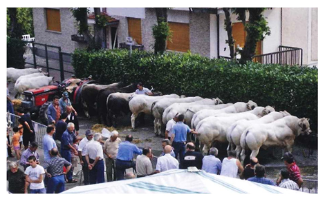 ANNUALE FIERA ZOOTECNICA AGRICOLA